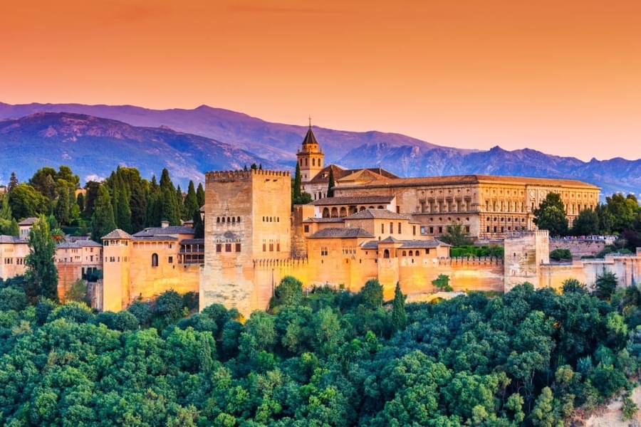 Admire the geometric design and intricate carvings of the Alhambra
